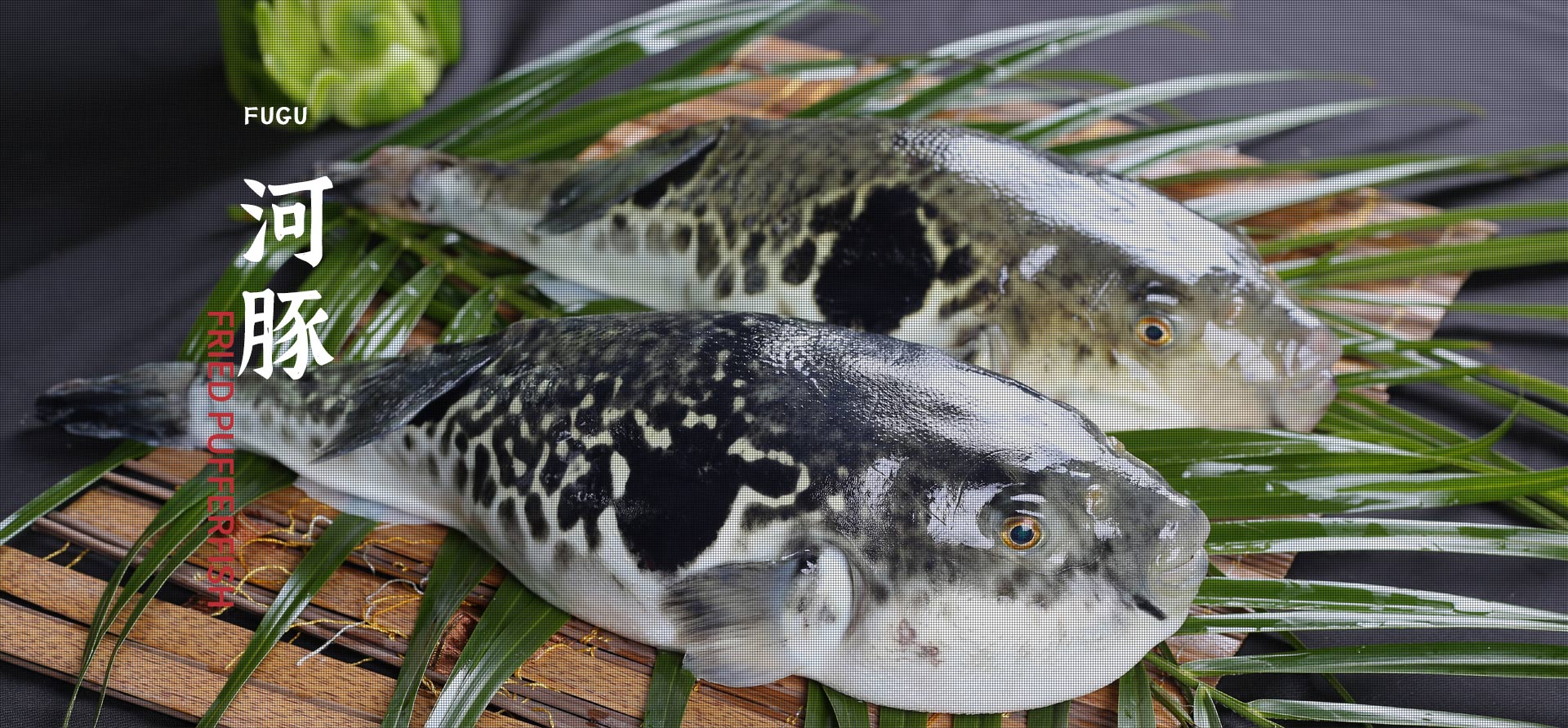 ����ᡤ(�й���½)��֤���ƻ���